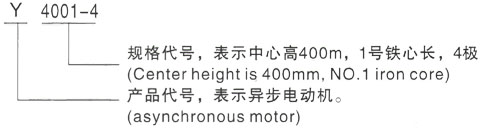 西安泰富西玛Y系列(H355-1000)高压YR5603-10/500KW三相异步电机型号说明